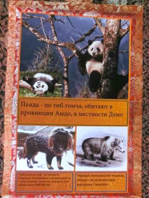 HHDalai_lama-77-02400